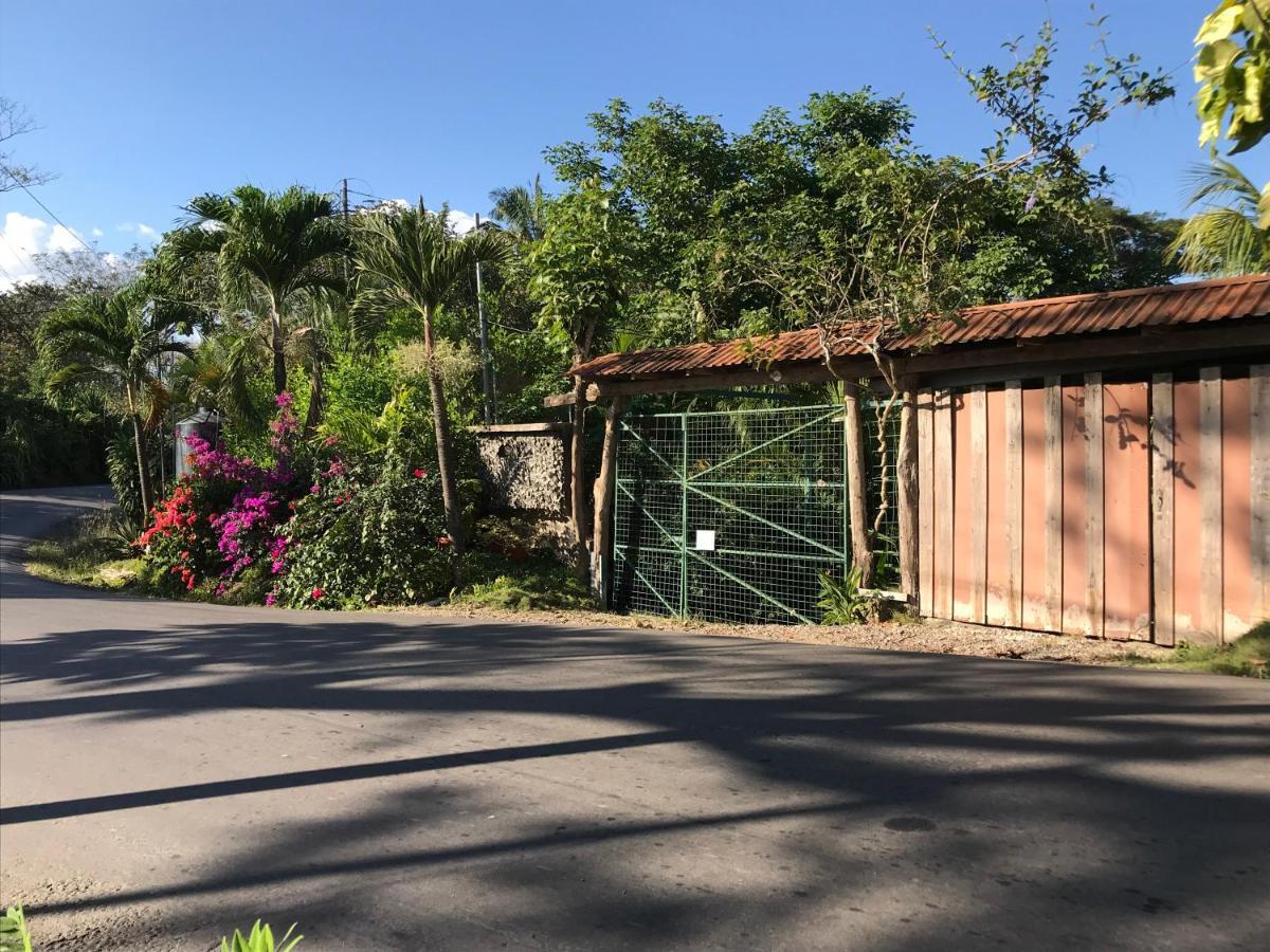 Flor De Paraiso Bungalows มอนเตซูมา ภายนอก รูปภาพ