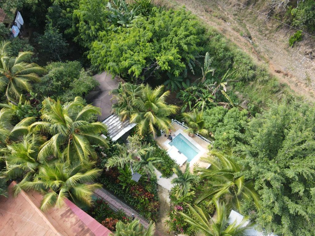 Flor De Paraiso Bungalows มอนเตซูมา ภายนอก รูปภาพ