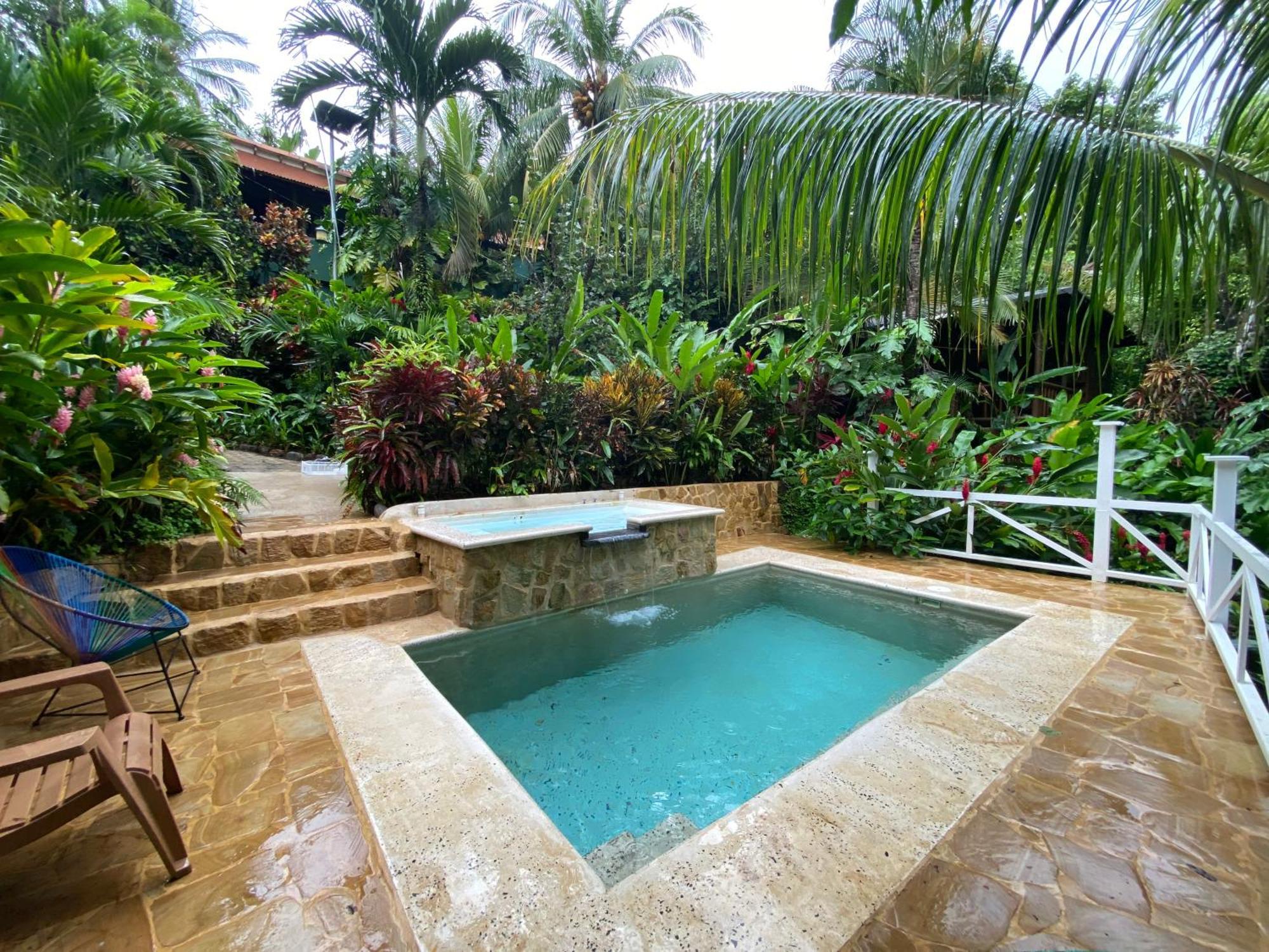 Flor De Paraiso Bungalows มอนเตซูมา ภายนอก รูปภาพ